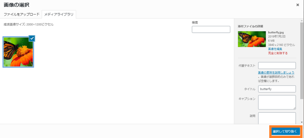 この画像には alt 属性が指定されておらず、ファイル名は 写真切り抜き-1024x466.png です